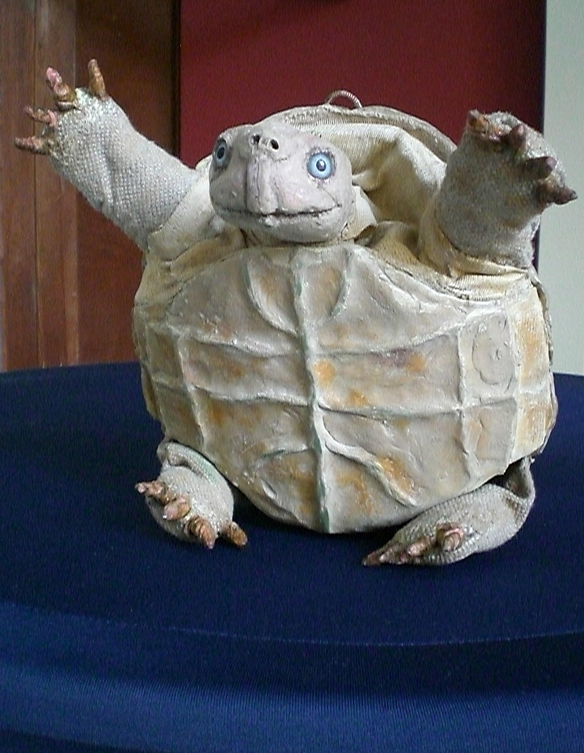 Die Schildkröte hat Geburtstag