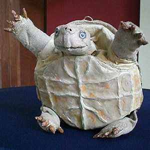 Die Schildkr&ouml;te hat Geburtstag
-